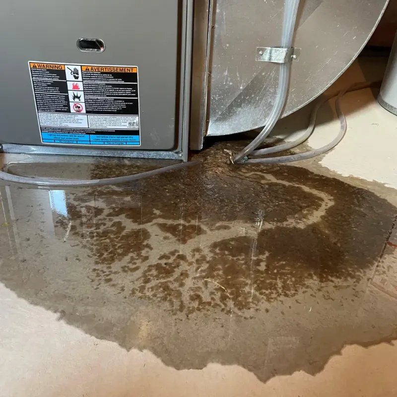 Appliance Leak Cleanup in Weddington, NC